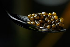 Caviar : fabrication et préparation
