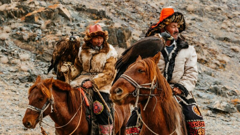 Découverte de la faune sauvage en Mongolie