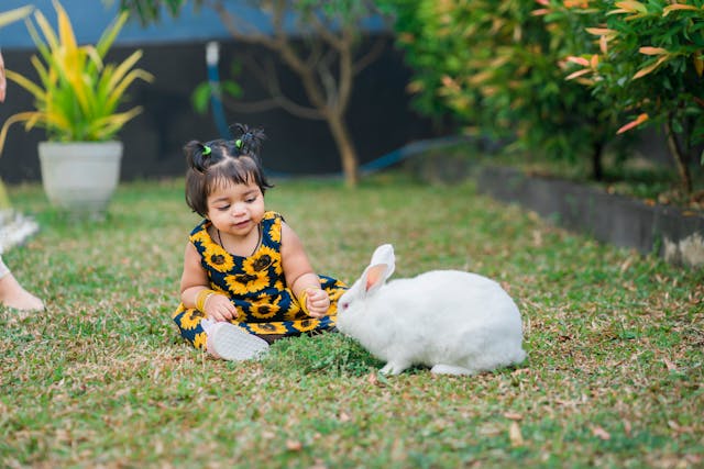 Comment aménager un espace sécurisé pour votre lapin