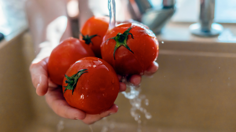 Les critères essentiels pour choisir un adoucisseur d’eau sans sel