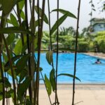 Plantes exotiques