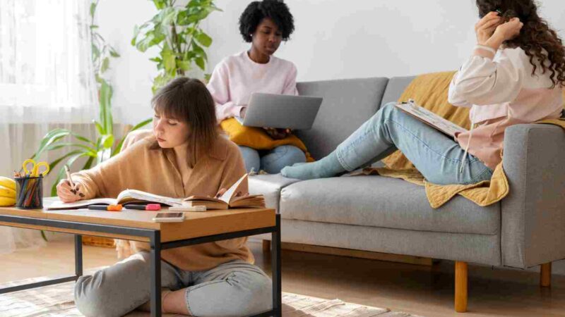 Quel est le prix moyen d’une colocation en France ?