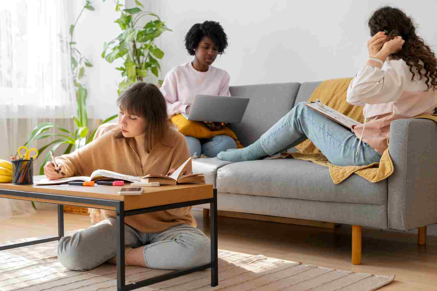 Quel est le prix moyen d’une colocation en France ?