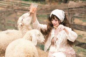 santé animal
