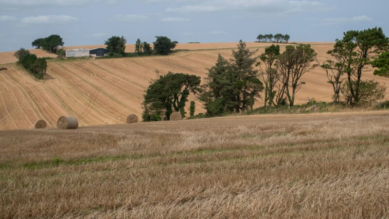Analyse détaillée des frais de notaire pour une parcelle agricole