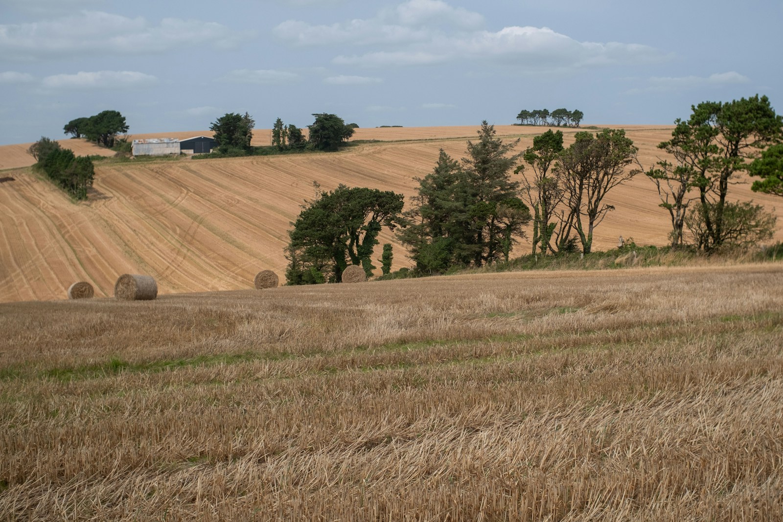 Analyse détaillée des frais de notaire pour une parcelle agricole