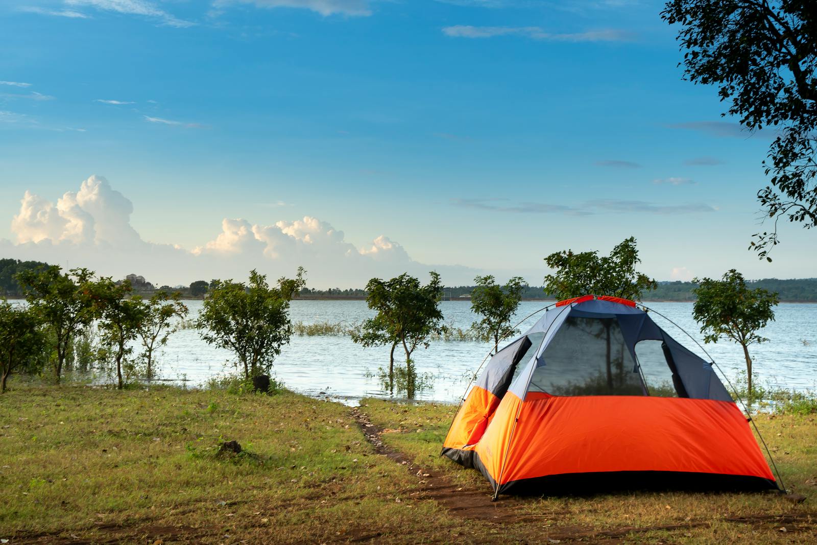 Freedom : retrouvez le goût de la liberté avec le camping