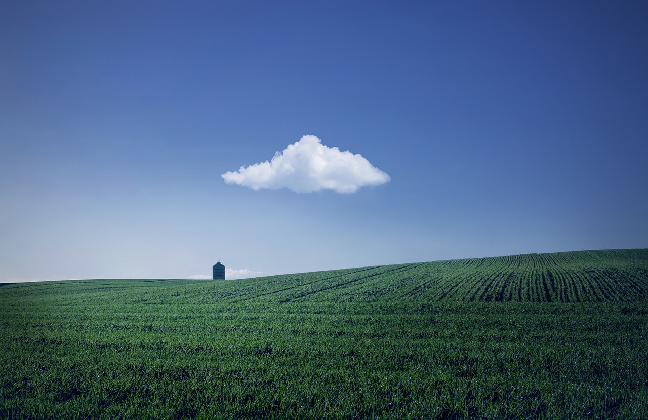 terrain agricole