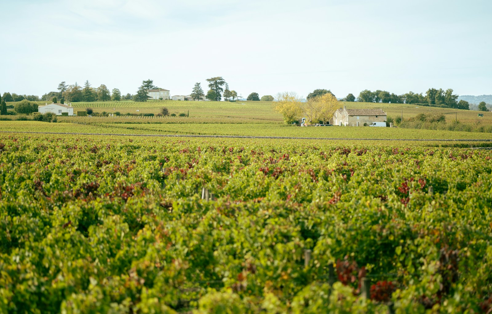 Explorer les vignobles bordelais : itinéraires incontournables et location de voiture