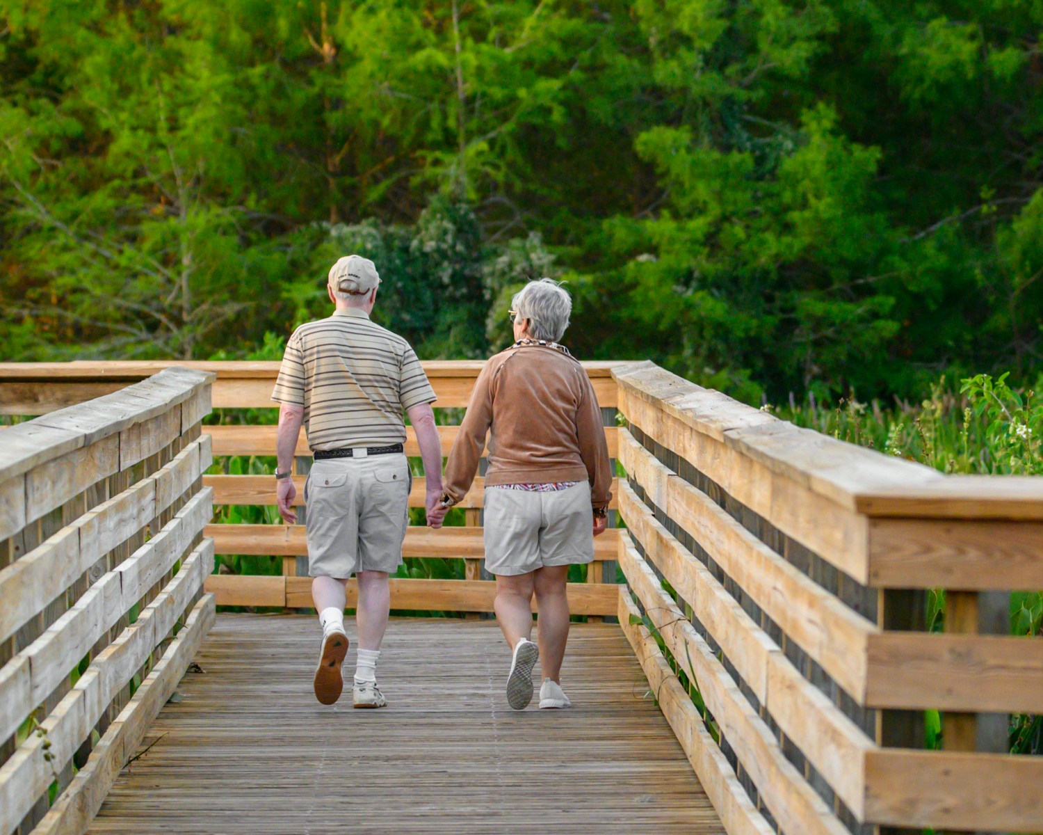 Guide pratique des mutuelles pour les plus de 75 ans : couverture adaptée et garanties essentielles