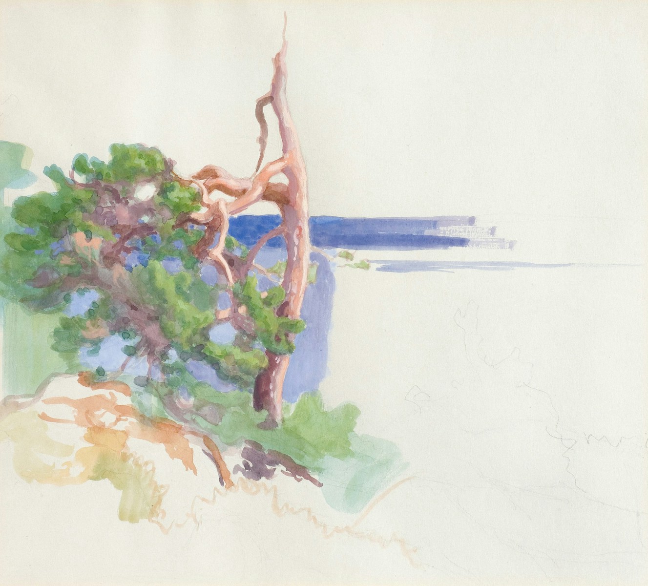 A gnarled tree overlooks a calm blue body of water.