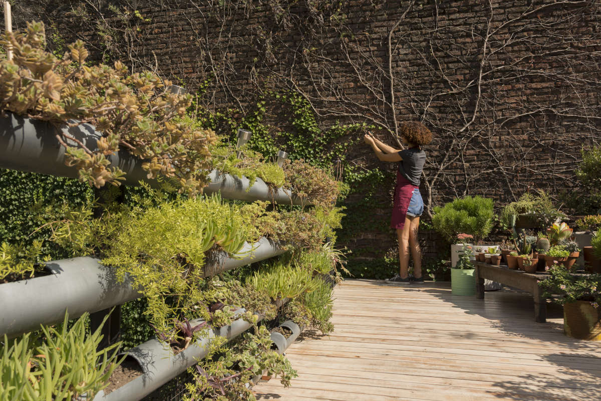Astuces pour une clôture design dans un jardin contemporain